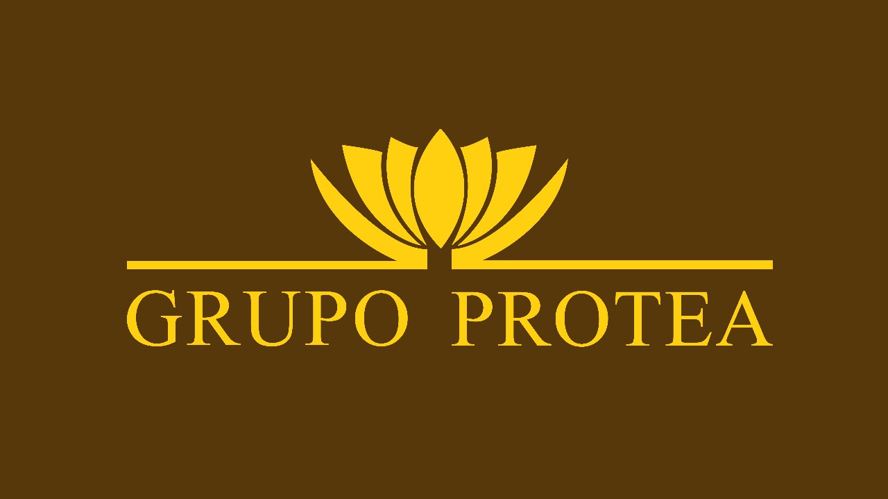 Grupo Protea